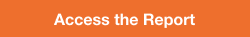 Access_the_Report_250x37.png
